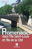 Promenades Dans Lle Saintlouis Et Lle De La Cit