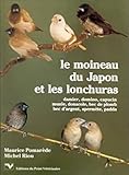 Le Moineau Du Japon Et Les Lonchuras