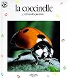 La Coccinelle, terreur des pucerons