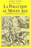 La pollution au Moyen Age: Dans le royaume de France et dans les grands fiefs (French Edition)