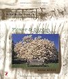 Better Picture Guide to Flower & Garden Photography (Better Picture Guide Series)