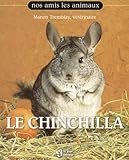 Chinchilla