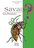 Savais Tu   Num%C3%A9ro 52 Les Punaises