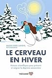 Le cerveau en hiver