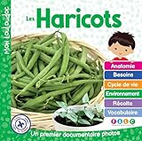 Les haricots