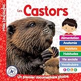 Les castors
