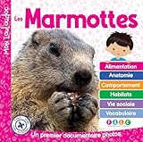 Les marmottes