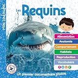 Les requins