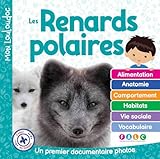 Les renards polaires