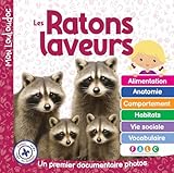 Les ratons laveurs