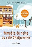 Tempête de neige au café Chatpuccino
