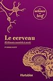 Le cerveau