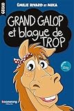 Gecko / Tome 08 - Grand galop et blague de trop