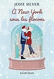 À New York sous les flocons