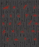 Imatge de portada d'Amazon