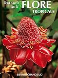 Tout Savoir Sur La Flore Tropicale