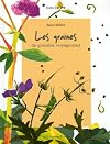 Les graines : De grandes voyageuses