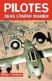 Pilotes Dans L'enfer Irakien