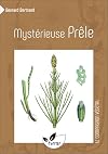 mystérieuse prêle