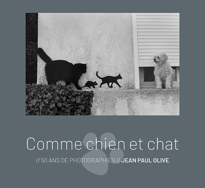 Comme chien et chatNicole Chayne (Pr&eacute;face), Jean-Paul Olive 