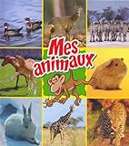 Image de couverture Amazon