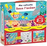 Ma Valisette Sous Locan