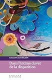 Dans l'intime duvet de la disparition