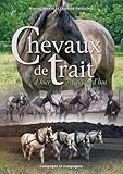 Chevaux De Trait