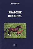 Anatomie Du Cheval (1c%C3%A9d%C3%A9rom)