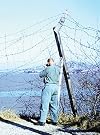 State Fiction, The Gaze of the Swiss Neutral Mission in the Korean Demilitarized Zone