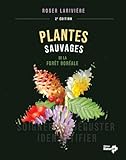 Plantes sauvages de la forêt boréale