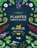 Plantes