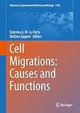 Cell Migrations Causes And Functions