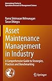 Asset maintenance management in industry