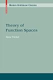 Theory Of Function Spaces