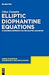 Elliptic Diophantine Equations (de Gruyter Series in Discrete Mathematics and Applications)