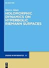 Holomorphic dynamics on hyperbolic Riemann surfaces