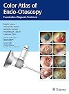Color Atlas of Endo-Otoscopy : Examination-Diagnosis-Treatment