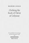 Clothing the body of Christ at Colossae the wild kingdom of early Christian literature : a visual construction of identity