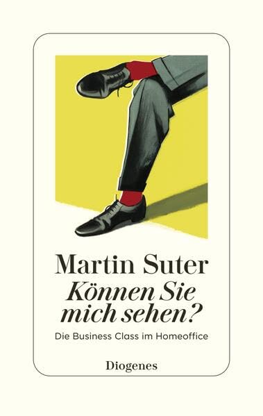 Können Sie mich sehen? Die Business Class im Homeoffice
