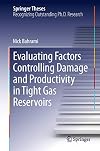 Evaluating factors controlling damage and productivity in tight gas reservoirs