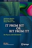 It From Bit Or Bit From It On Physics And Information