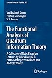 Functional analysis of quantum information theory