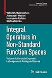 Integral Operators In Nonstandard Function Spaces Volume 1 Variable Exponent Lebesgue And Amalgam Spaces Operator Theory Advances And Applications