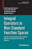 Integral Operators In Nonstandard Function Spaces Volume 2 Variable Exponent Hlder Morreycampanato And Grand Spaces Operator Theory Advances And Applications