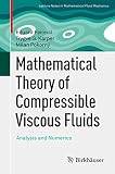 Mathematical Theory Of Compressible Viscous Fluids Analysis And Numerics