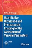 Quantitative Ultrasound And Photoacoustic Imaging For The Assessment Of Vascular Parameters Polito Springer Series