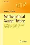 Mathematical Gauge Theory With Applications To The Standard Model Of Particle Physics