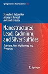Nanostructured Lead, Cadmium, and Silver Sulfides Structure, Nonstoichiometry and Properties
