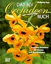 Das BLV Orchideenbuch